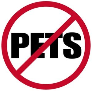 🚫PET / 🚫 SMOKE HOME